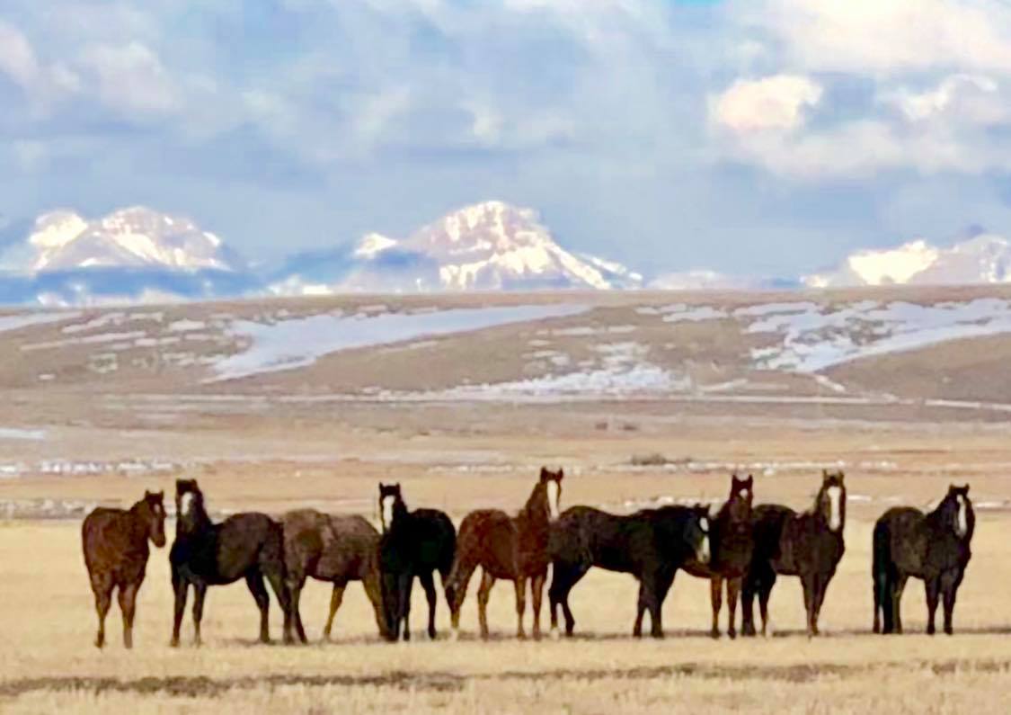 Home On Our Range