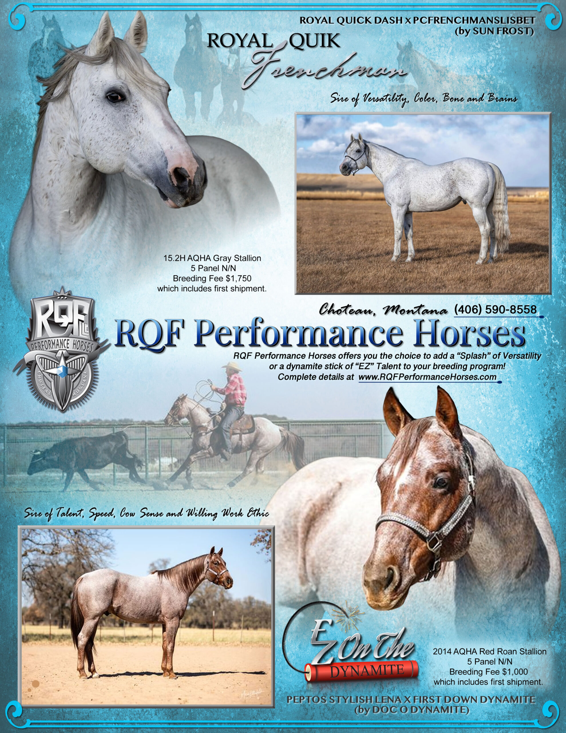 RQF Performance Horses Stallion line up
