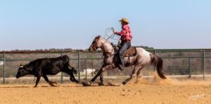 EZ On the Dynamite Rope Horse Stallion