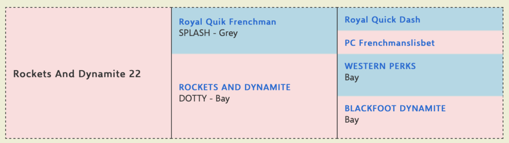 rockets and dynamite 2022 bay filly