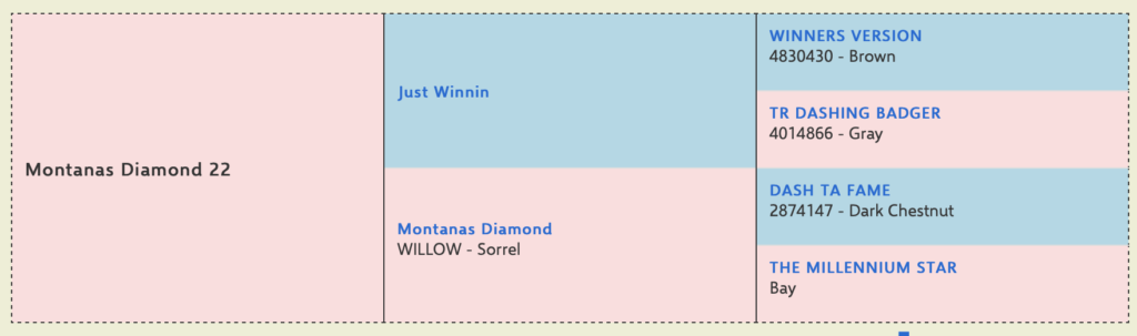 Just Winnin x Montanas Diamond 2022 filly for sale